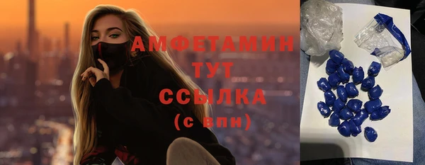 дмт Алексин