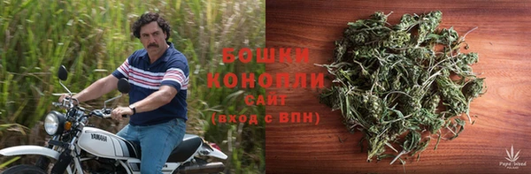 гашик Аркадак