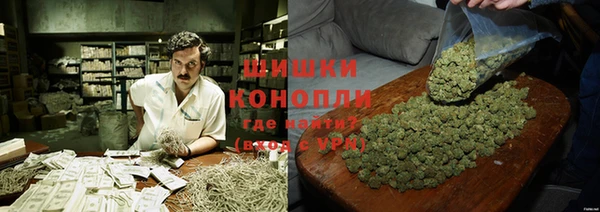 гашик Аркадак