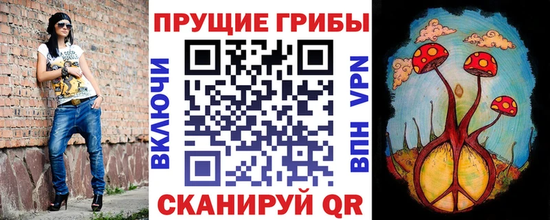 Галлюциногенные грибы Psilocybine cubensis  купить наркоту  Пошехонье 