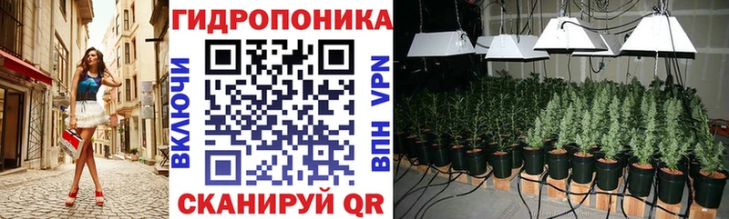 Шишки марихуана гибрид  Пошехонье 